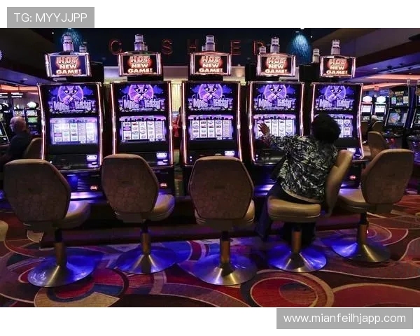 科学分析老虎机概率帮助玩家制定合理投注计划