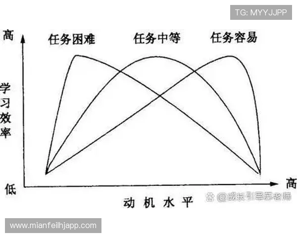 老虎机与心理学的关系:如何理解玩家的心理动机 老虎机与心理学的关系:如何理解玩家的心理动机