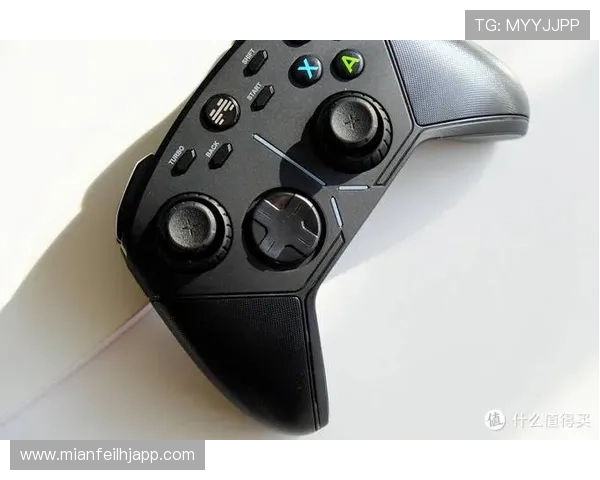 不同品牌老虎机价格对比及性价比评测助你选择最适合的游戏设备